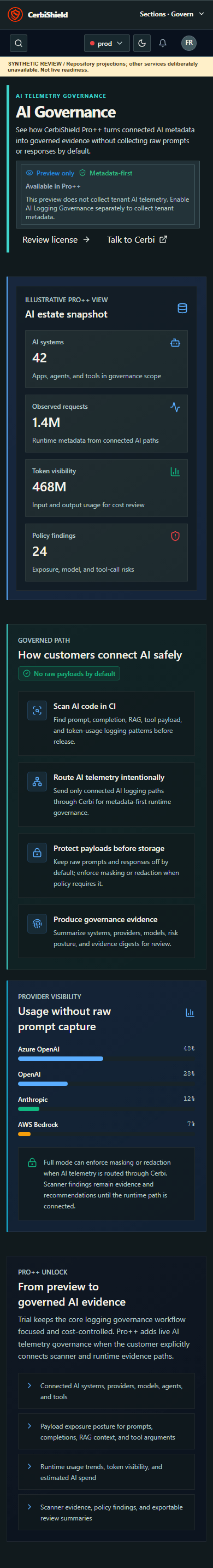 AI Governance illustrative preview with provider usage bars; these values are examples, not live tenant telemetry
